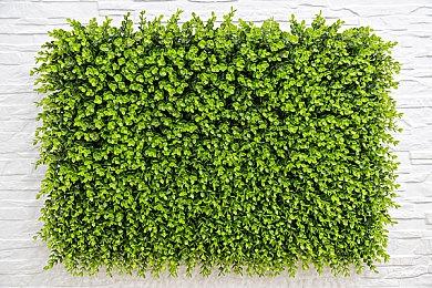 PS4版《铁道日本！Real Pro 特急走行！名古屋铁道篇》预购开启